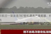 卡塔尔航空一架波音787客机遭遇严重颠簸，机上12人受伤