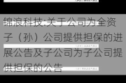 锦浪科技:关于公司为全资子（孙）公司提供担保的进展公告及子公司为子公司提供担保的公告