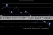 如何跟踪铂金的市场价值？这些价值波动有何规律？