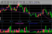 山东墨龙盘中异动 快速上涨5.26%