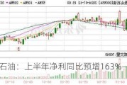 泰山石油：上半年净利同比预增163%―239%