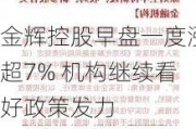 金辉控股早盘一度涨超7% 机构继续看好政策发力