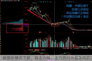 股票阶梯式下跌，有主力吗，主力的行为是怎样的？