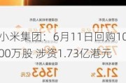 小米集团：6月11日回购1000万股 涉资1.73亿港元