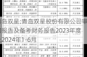 青岛双星:青岛双星股份有限公司审阅报告及备考财务报告2023年度及2024年1-6月