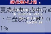 夏威夷电力盘中异动 下午盘股价大跌5.01%