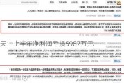 ST春天：上半年净利润亏损5987万元