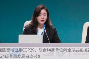 能链智电出席COP29，联合14家单位向全球发布《2024碳普惠发展白皮书》