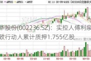 大华股份(002236.SZ)：实控人傅利泉及其一致行动人累计质押1.755亿股