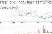 知行集团控股：2024年6月11日发行2835.67万股购股权***