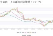 海大集团：上半年净利同比增长93.15%