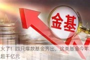 太火了！四只爆款基金齐出，这类基金今年已募集超千亿元