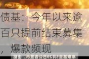 债基：今年以来逾百只提前结束募集，爆款频现