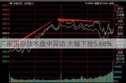 广船国际技术盘中异动 大幅下挫5.68%