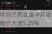 坎伯兰药业盘中异动 股价大涨5.25%