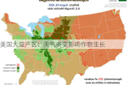 美国大豆产区：天气多变影响作物生长