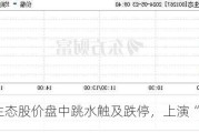 汇绿生态股价盘中跳水触及跌停，上演“天地板”