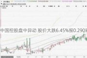 时代中国控股盘中异动 股价大跌6.45%报0.290港元