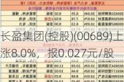 长盈集团(控股)(00689)上涨8.0%，报0.027元/股