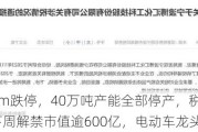 触及20cm跌停，40万吨产能全部停产，税务局最新通报！下周解禁市值逾600亿，电动车龙头居首