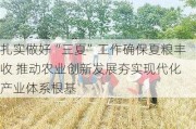 扎实做好“三夏”工作确保夏粮丰收 推动农业创新发展夯实现代化产业体系根基