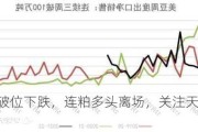 美豆破位下跌，连粕多头离场，关注天气影响