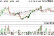 海默科技：6月5日召开董事会会议