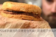 1995年的麦当劳汉堡至今不腐！这是吃了什么防腐剂？