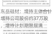 东岳硅材：增持主体合计增持公司股份约37万股，增持***期限届满