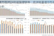 宜春力迅2024年碳酸锂销售：欧洲销量增与市场驱动分析