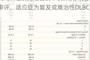 诺诚健华(09969)股价上涨5.05%：注射用坦昔妥单抗拟纳入优先审评，适应症为复发或难治性DLBCL