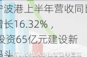 宁波港上半年营收同比增长16.32% ， 投资65亿元建设新码头