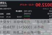 两大突发！半导体拉升，“东北药茅”闪崩，科技ETF（515000）逆市收涨！机构：科技成长反弹可期