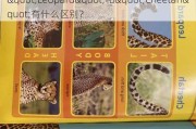 "Leopard"和"Cheetah"有什么区别？