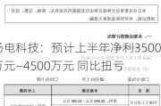 扬电科技：预计上半年净利3500万元―4500万元 同比扭亏