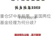 重仓ST中泰股票，富国两位基金经理为何分歧？