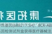 睿昂基因(688217.SH)：BCR-ABL P210融合基因检测试剂盒获得医疗器械注册证