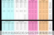 沧州大化(600230.SH)2023年度每股派0.138元 股权登记日为6月25日