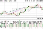 中国中免股价上涨5% 机构称消费税改革有望利好免税行业