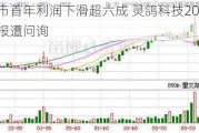 上市首年利润下滑超六成 灵鸽科技2023年年报遭问询