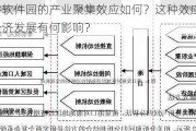 光谷软件园的产业聚集效应如何？这种效应对区域经济发展有何影响？