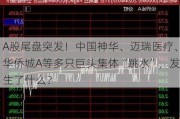 A股尾盘突发！中国神华、迈瑞医疗、华侨城A等多只巨头集体“跳水”，发生了什么？