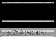 宁波联合(600051.SH)2023年度拟每股派0.12元 6月7日除权除息