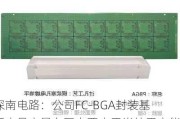 深南电路：公司FC-BGA封装基板产品产量有限主要由于尚处于产能爬坡阶段