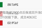 A股午评：沪指跌破2900点后探底回升涨0.1%，风电股拉升！超3100股下跌，成交4063亿