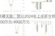 ***天路：预计2024年上半年亏损6000万元-9900万元