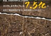 联合国：未来半年全球多地粮食不安全状况将进一步恶化