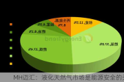 MH迈汇：液化天然气市场是能源安全的关键