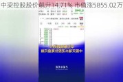 中梁控股股价飙升14.71% 市值涨5855.02万港元