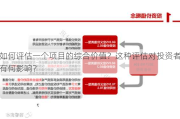 如何评估一个项目的综合价值？这种评估对投资者有何影响？